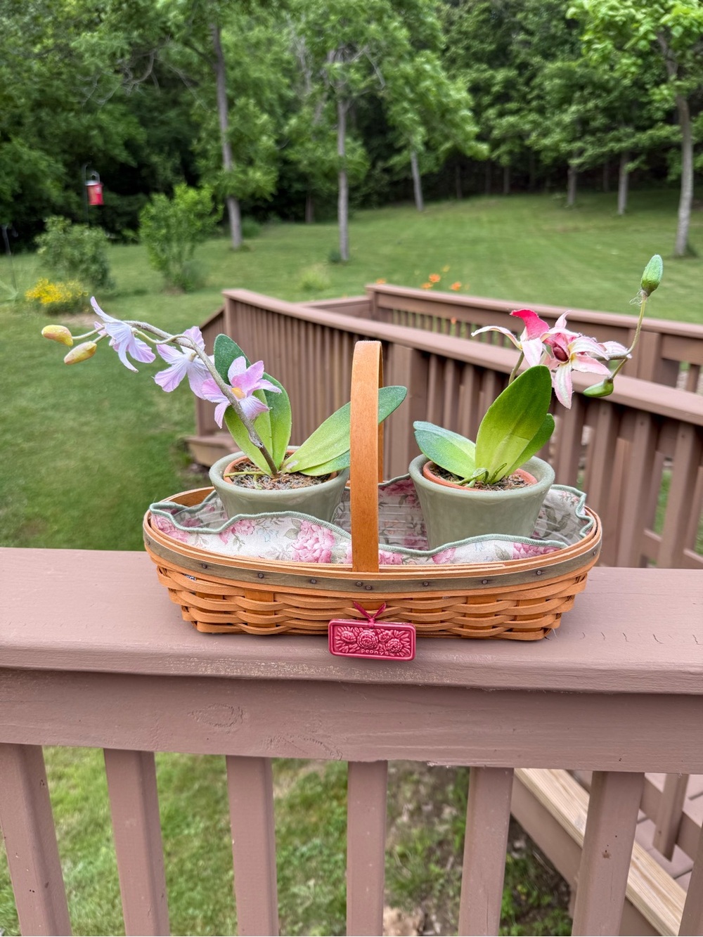 Longaberger 2001 Peony Basket with Liner, Tie-on and Flower Pots with Saucers